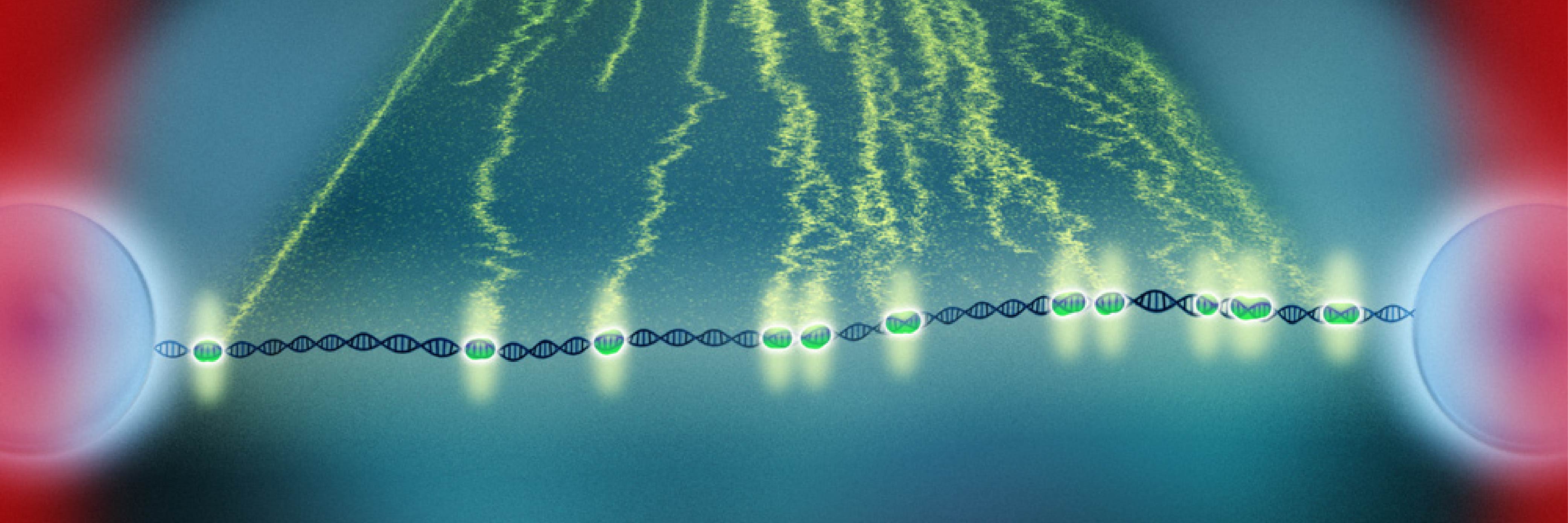 Nature Methods cover